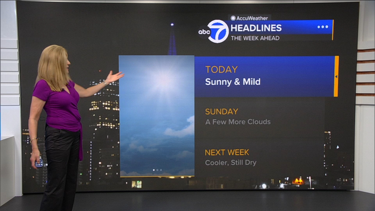 AccuWeather Forecast: Sunny and mild
— ABC 7 Bay Area, Denton Community news