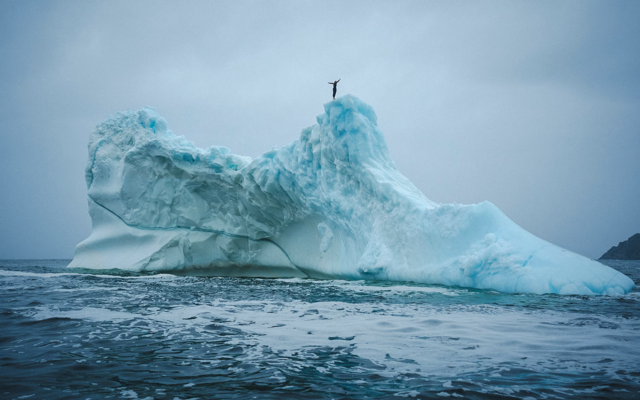 Cliff diver Molly Carson makes history, becomes first woman to dive off iceberg — WPBF Sports Palm Beach, Denton Sports news